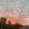 kyleechamber504